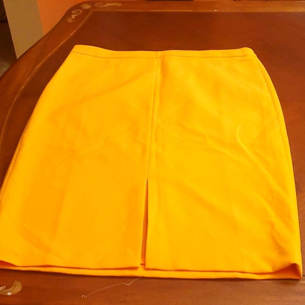 Ann Taylor Skirt Size 14